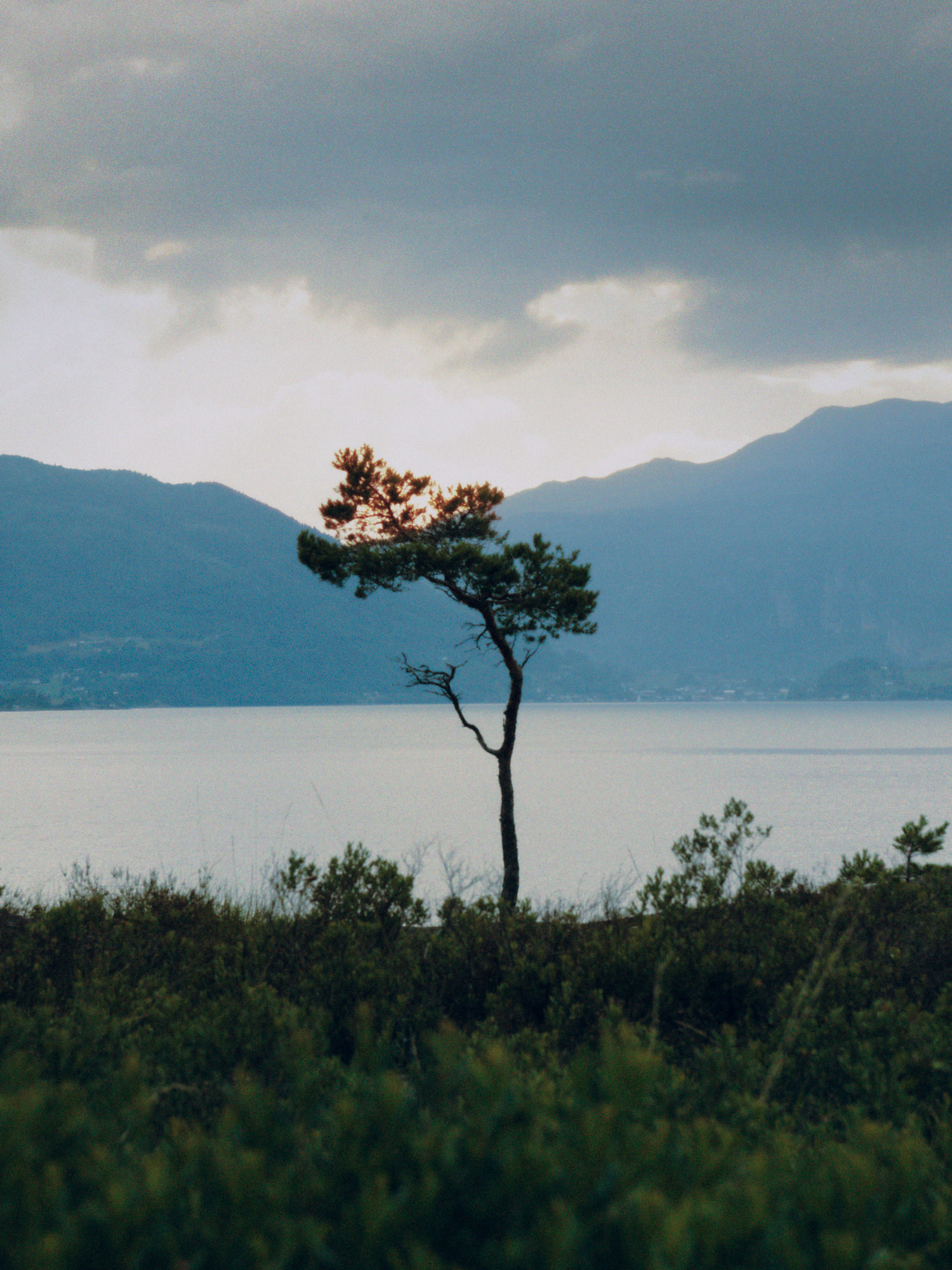 Project: Observations II - img