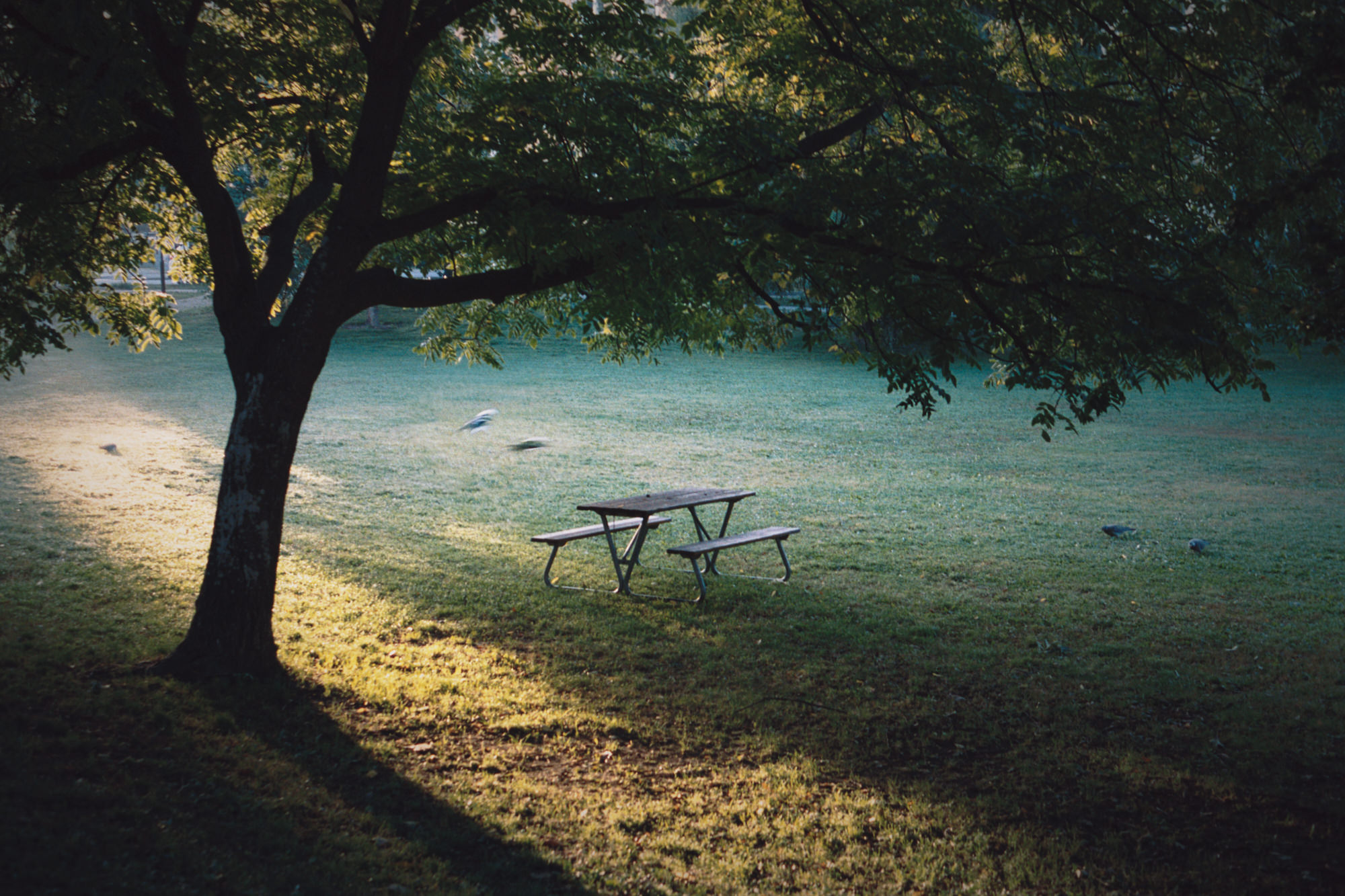 Project: Observations II - img