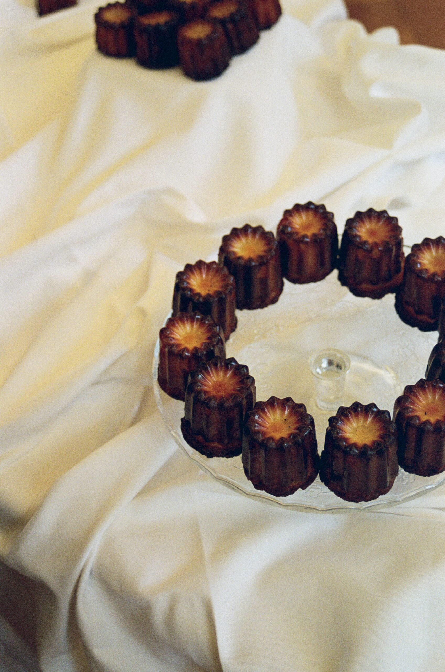 Project: TG Botanical - img